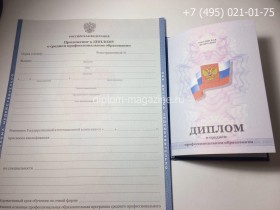 Диплом о среднем специальном образовании 2011-2013 года